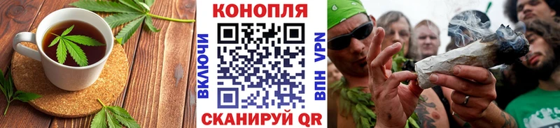 KRAKEN зеркало  где продают наркотики  Благодарный  Cannafood марихуана 