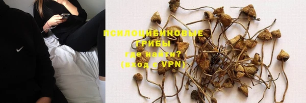 мдпв Белокуриха