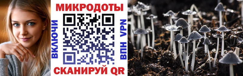 blacksprut ссылки  где купить наркоту  Благодарный  Псилоцибиновые грибы Psilocybine cubensis 