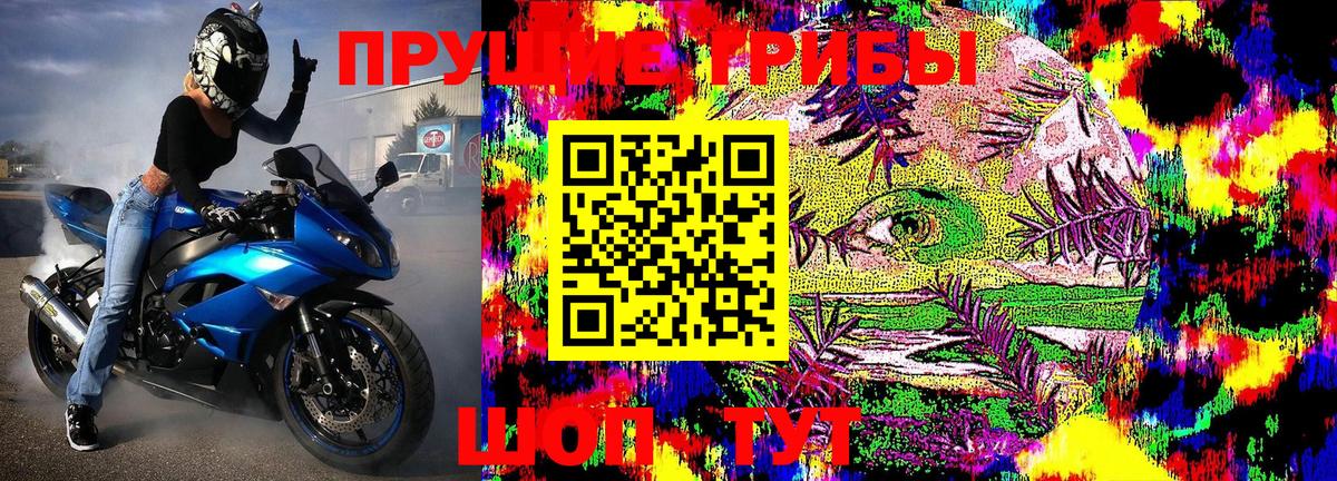 сколько стоит  Псилоцибиновые грибы Cubensis  Вход с VPN  Благодарный 