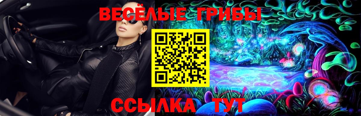 Псилоцибиновые грибы мицелий Благодарный